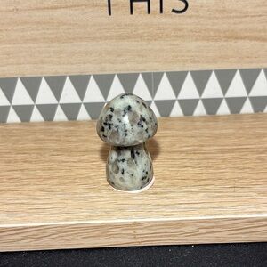 Kiwi Jasper Mushroom (KJC2)